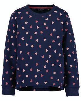 Sweater Herzen 110